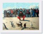 Ecologistas y aves manchadas